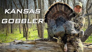 We Crossed Paths... And He Came In Silent | Kansas Gobbler