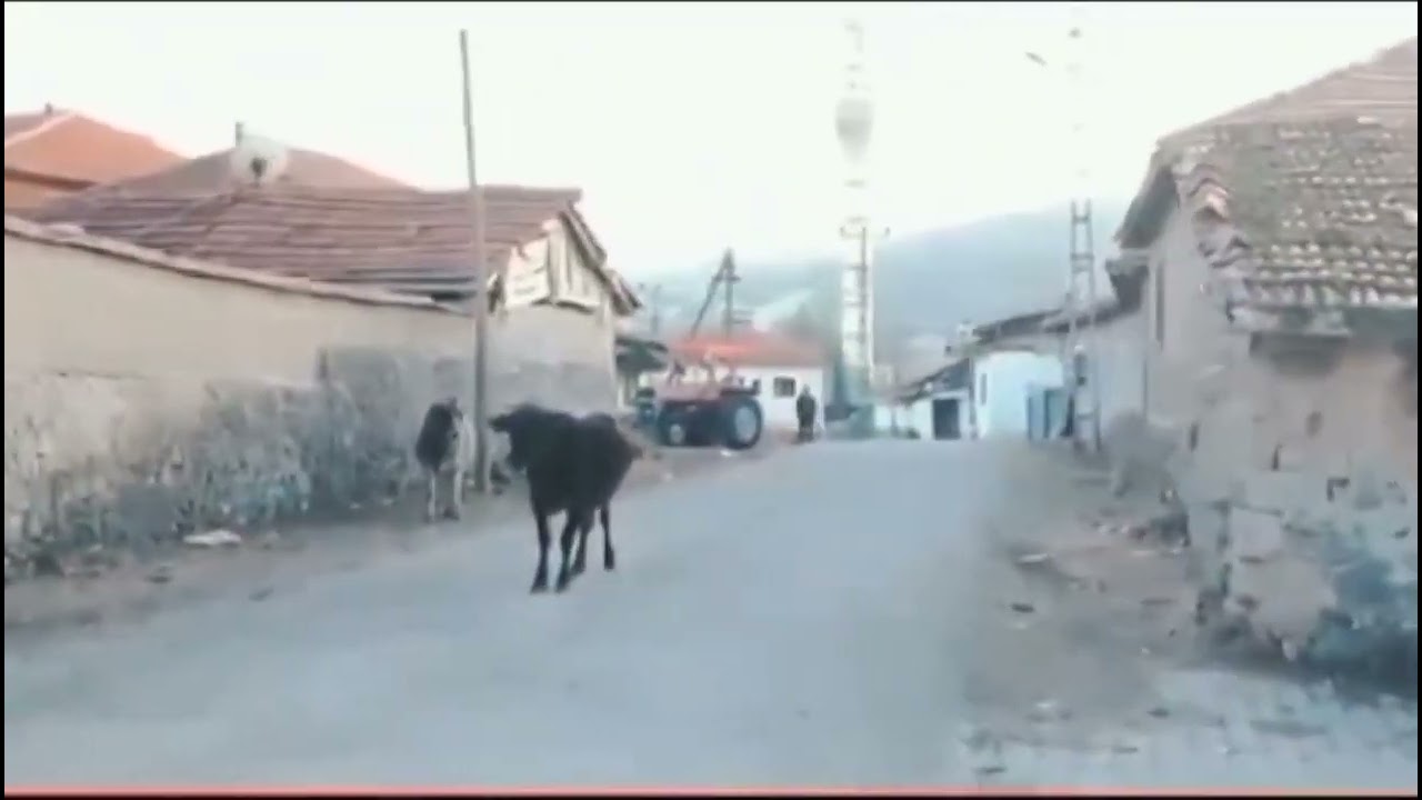 YOZGAT ÇADIRARDIÇ KÖYÜ