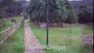 Ferrol Ortegal