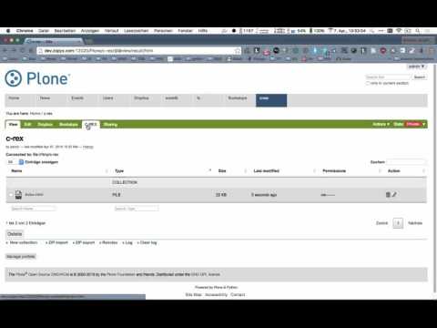 XML Director integration with c-rex.net conversion service