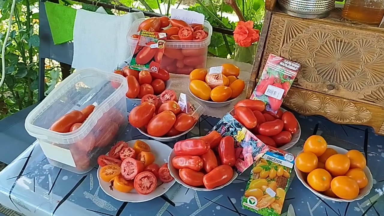 Открытый грунт. Обзор томатов в разрезе,🍅 для консервации.