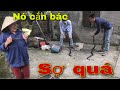 Giúp Người Dân Thu Phục Cặp Rắn Hổ Mang | SBATVC