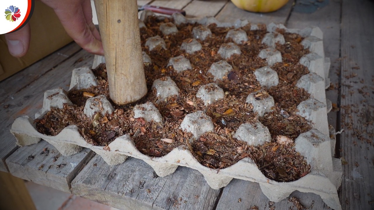 🔥¡INICIADOR de FUEGO GRATIS! con MAPLES de HUEVO y ACEITE USADO.