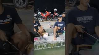 Diam...amati...hilang...sikat.. #fishing #mancing #galatama