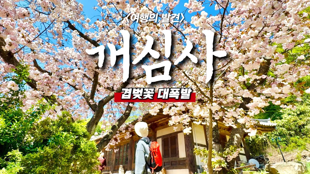 🚶‍♂️서울 근교 국보 트레킹 '7km'  - 🚌 삼존마애불에서 개심사까지 대중교통 당일치기