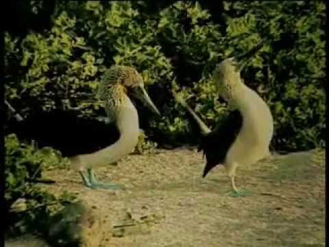 laid back - beautiful day