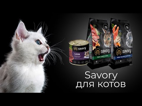 Сухие и влажные корма Savory для кошек