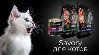 Сухие и влажные корма Savory для кошек