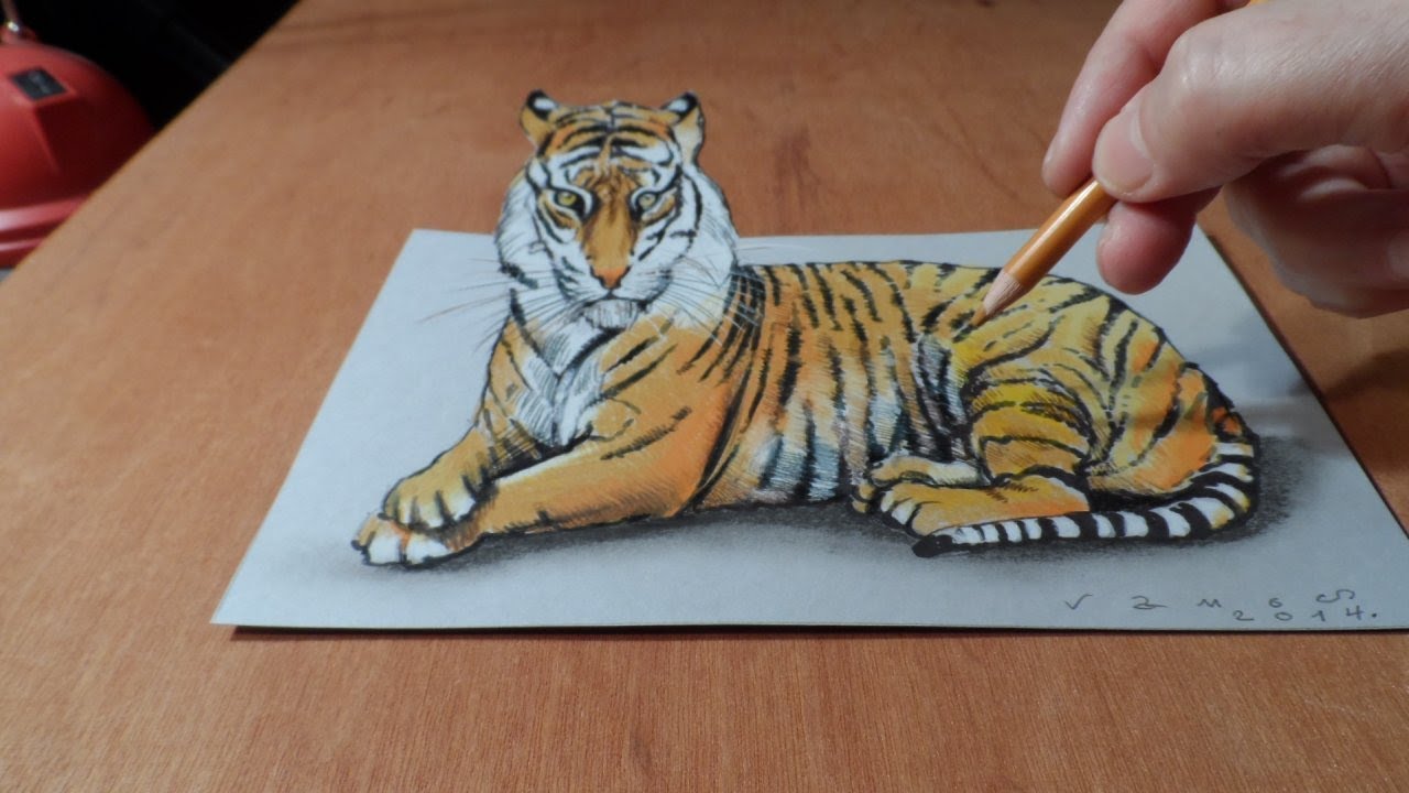 Drawing 3D Tiger - How to Draw a Tiger - Trick Art on 