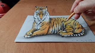 Drawing  3D Tiger - How to Draw a Tiger  - Trick Art on Paper - By Vamos screenshot 4