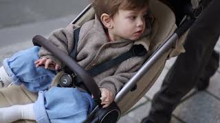 Anex Iq Seal The Calm Side Of Parenthood