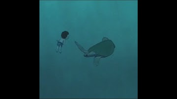 Thumbnail of The Red Turtle (XXXTentacion x Acoustic Guitar)