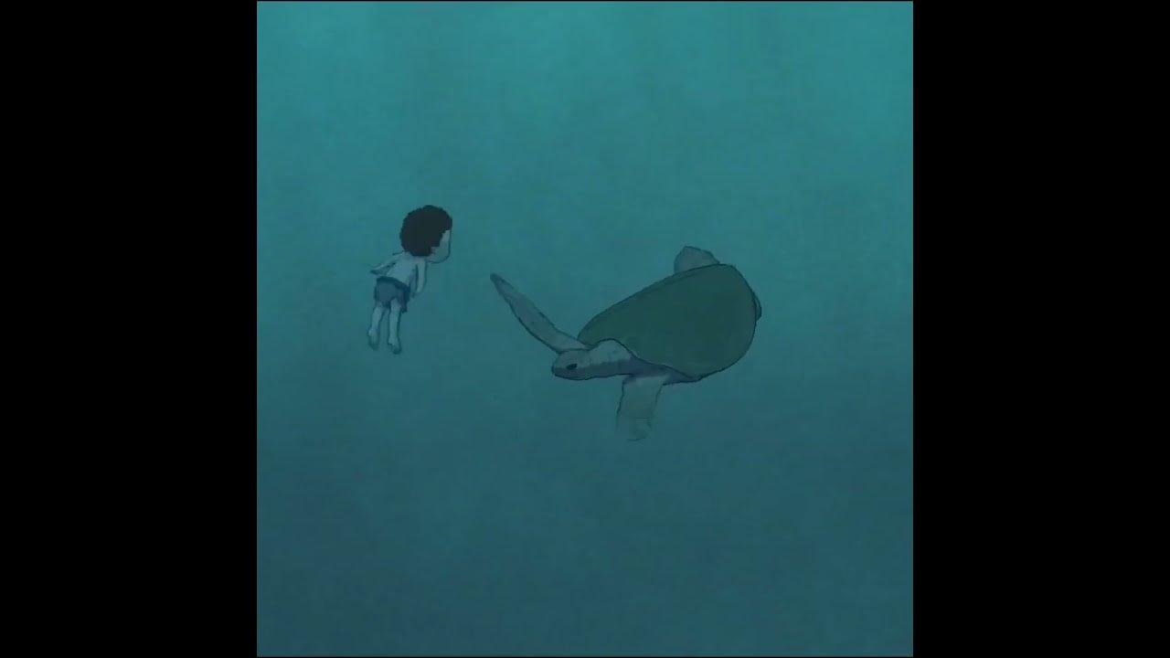 The Red Turtle (XXXTentacion x Acoustic Guitar)