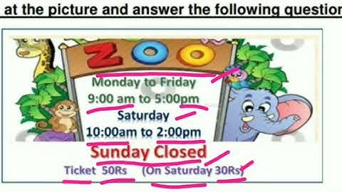 Picture comprehension - Zoo