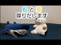 鮫と猫　喋り出す