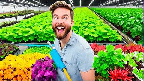 How to Start Hydroponic Farming: A Beginner’s Step-by-Step Guide