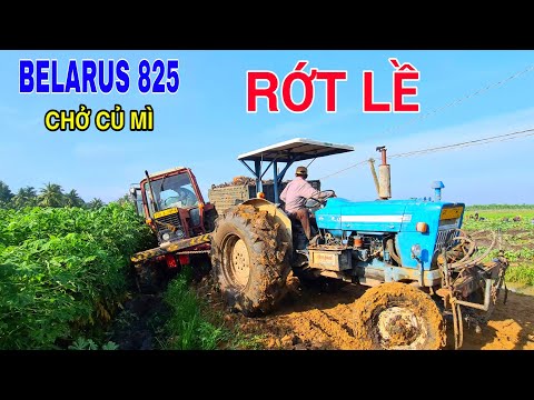 Video Sức Mạnh Khủng Của Máy Cày Ford 4000 Kéo Belarus 825... - youtube