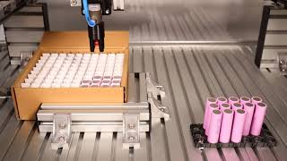 Portalroboter Für Batterie Handling