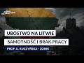 Ubóstwo na Litwie. Dlaczego litewskie regiony przygraniczne ubożeją? | A. Kuczyńska - Zonik