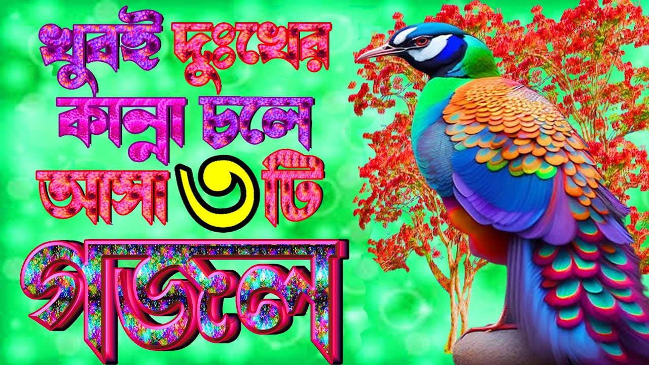 মরনের স্মরণ মন প্রাণ উজার করা দুইটি গজল |Two Selected Gojol | Islamic Bangla Gojol |New Bangla Gojol