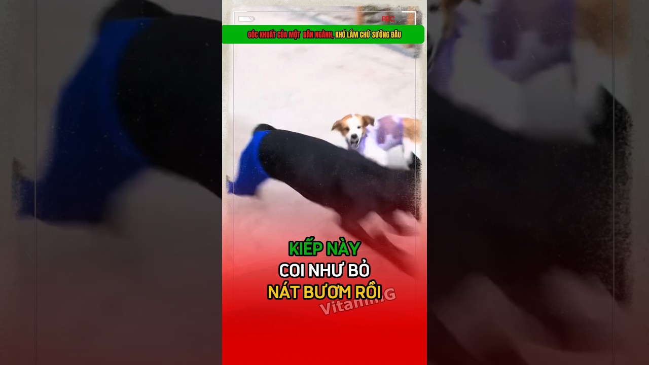 Hãm 😮‍💨😮‍💨😮‍💨 