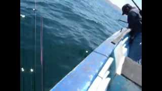 Torneo Pesca Punta Eugenia Jul_10_2010_Video_05.AVI