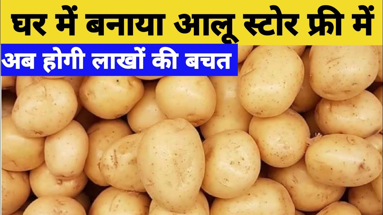 किसान ने खुद बना दिया आलू स्टोर | Aalu ko store kaise Kare | aloo store kaise Karen |potato preserve