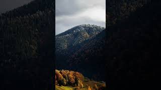 Карпати