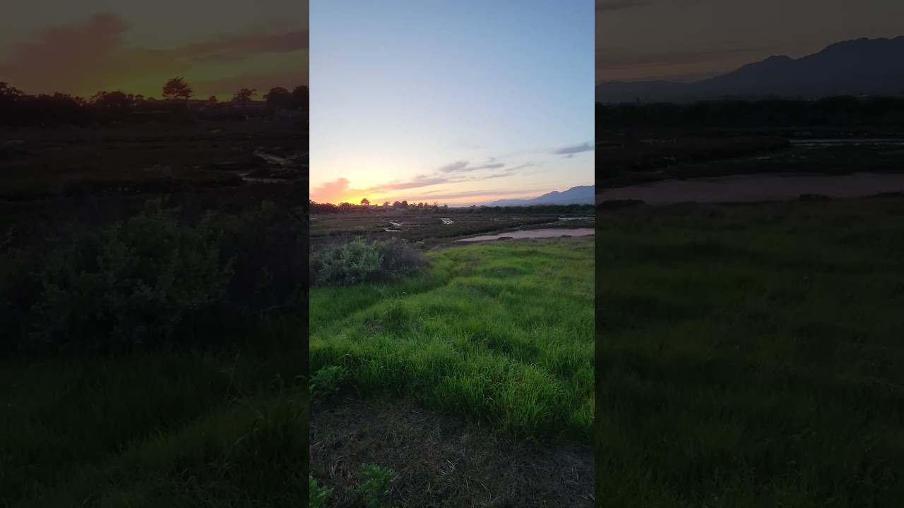 Beautiful Marsh Lands! Amazing wildlife sounds! 