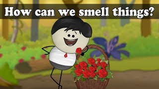 How can we smell things? | #aumsum #kids #science #education #children