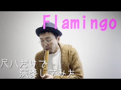 【Flamingo cover／米津玄師】和楽器で演奏してみた