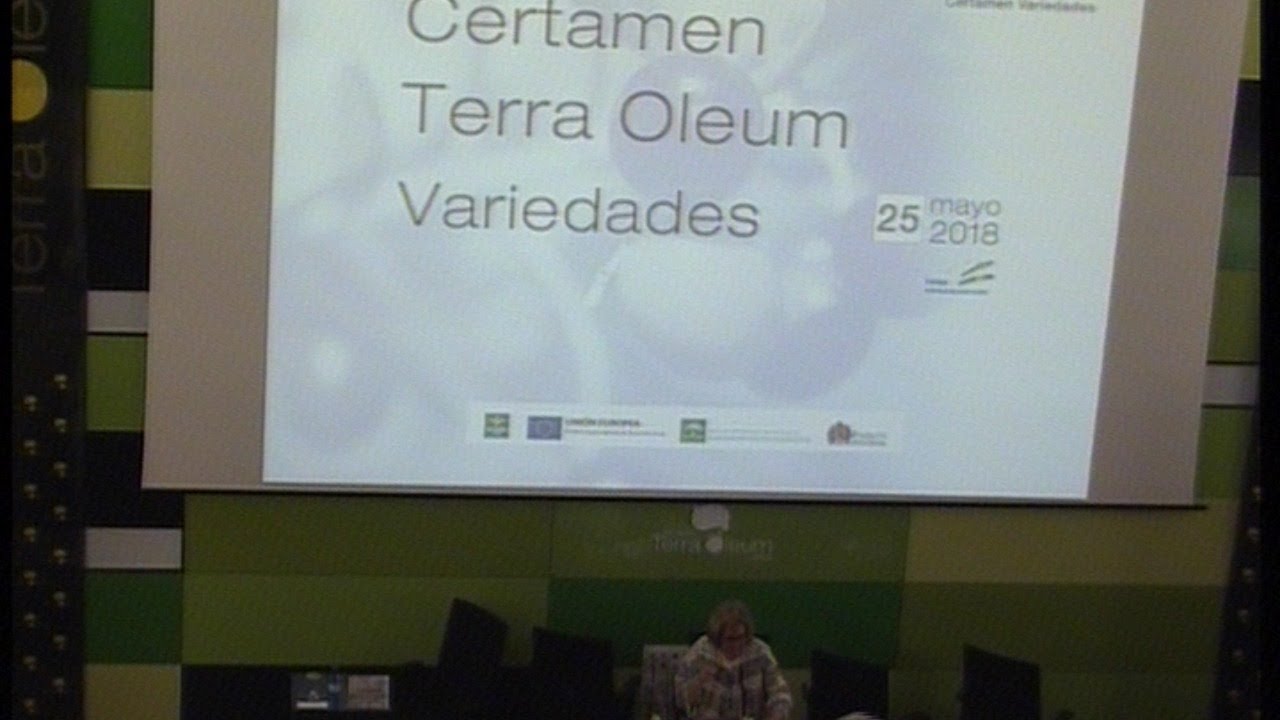 chat terra en jaen