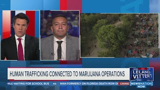 Human trafficking connected to marijuana grow operations | On Balance