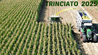 Risultati Trinciato 2025