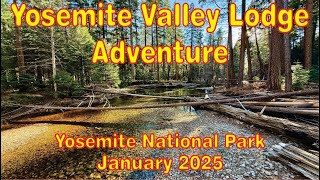 Yosemite Valley Lodge Adventure Jan 2025 1080p