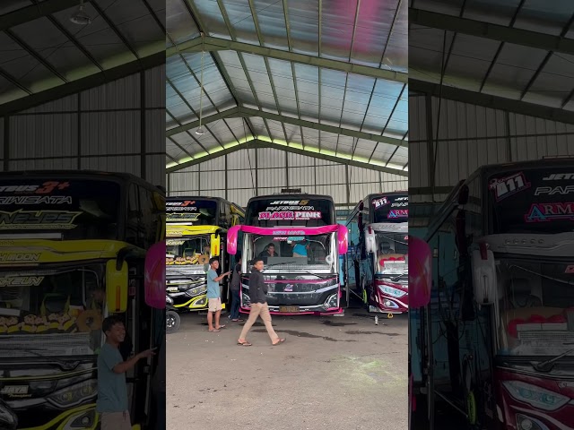 Auto Jogett 😅Bus Black Pink modul Dav Musical airhorn #basuri #tunggaljaya #davairhorn class=