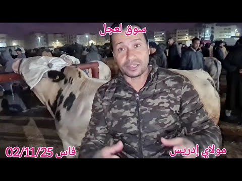 سوق لعجل الجزاري فاس بنسودة الجودة زايدة فالتمن الاشتراك والبرطاج من فضلكم 