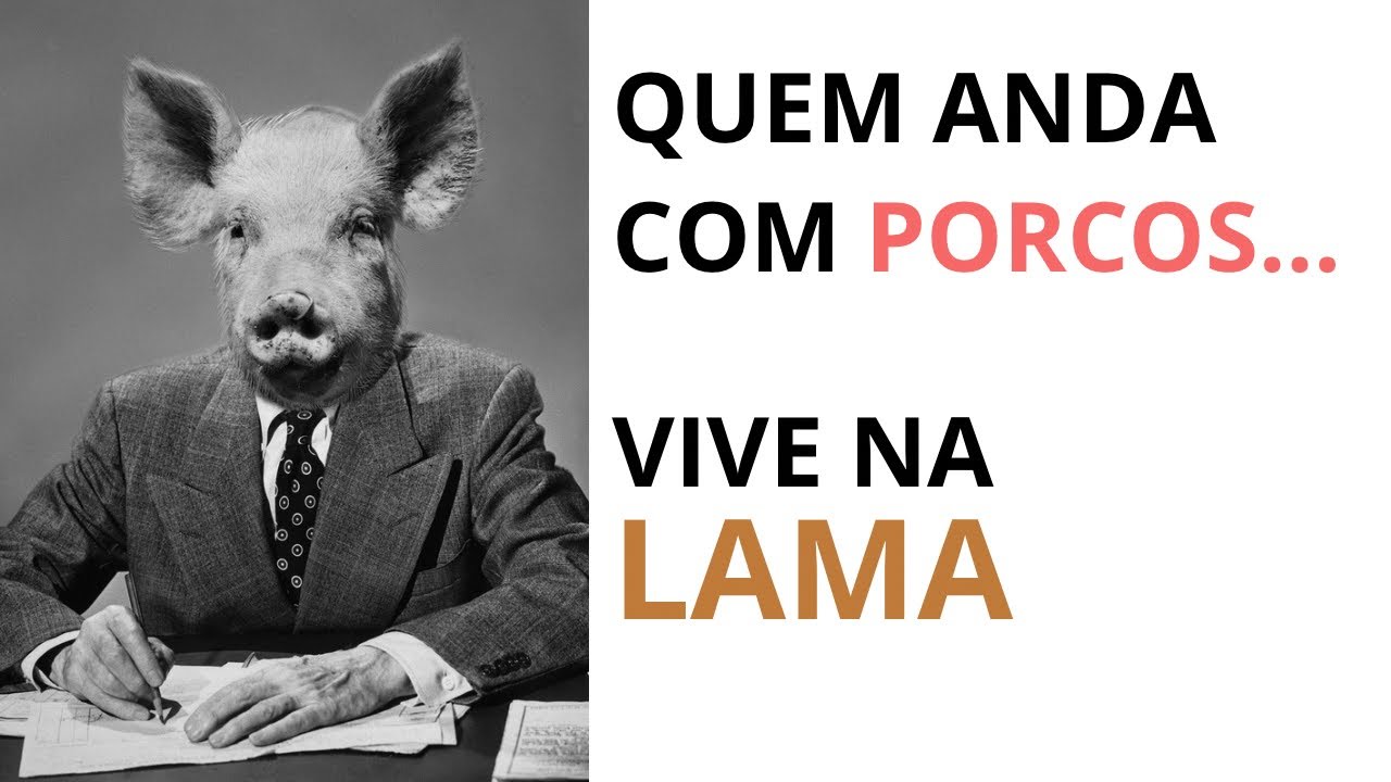 Quem anda com porcos vive na lama - a importância de seu ciclo social ...