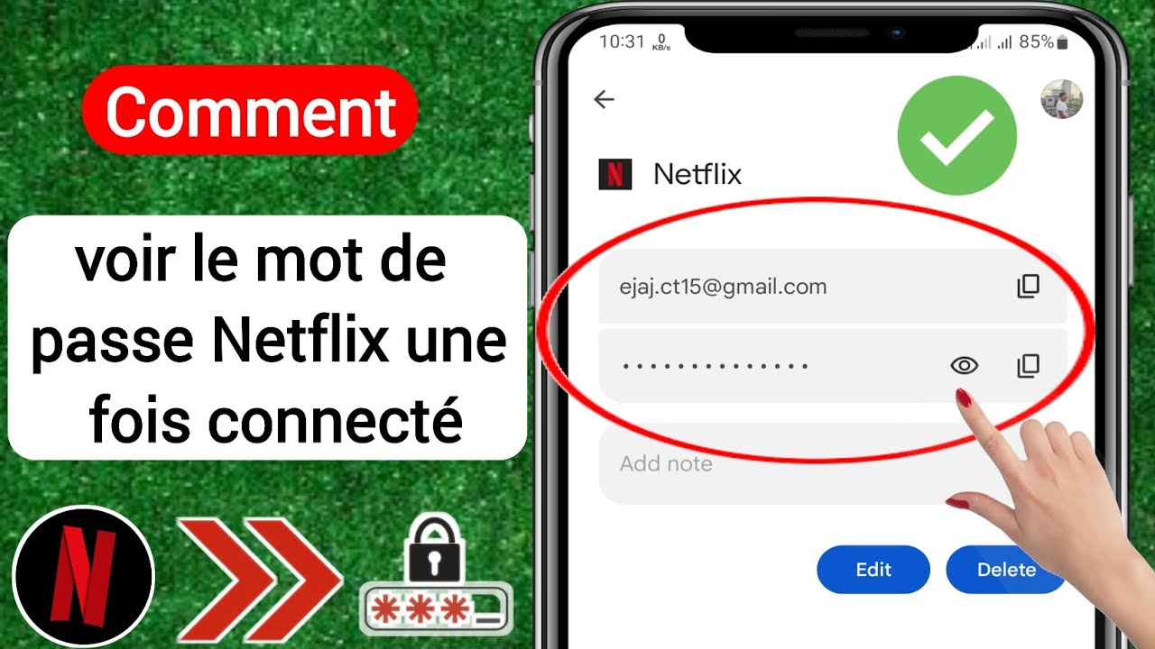 Comment voir le mot de passe Netflix une fois connecté