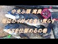 中央ふ頭 湾奥 黒鯛