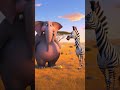 Why Do Elephants Never Forget? Funny Animal Facts for Kids | 3D Cartoon #shorts  #funny #viral