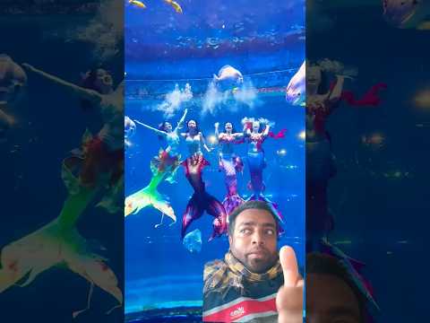 It Doesn T Matter If Ldidn T See The Chinesegirl