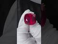 Microscopic Examination Confirms the Estrela De Fura's Natural Perfections! #shorts #ruby #crystals