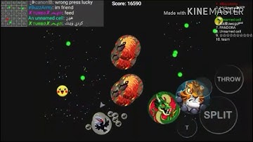 THE BEST PLAYER IN BLOB! 😂