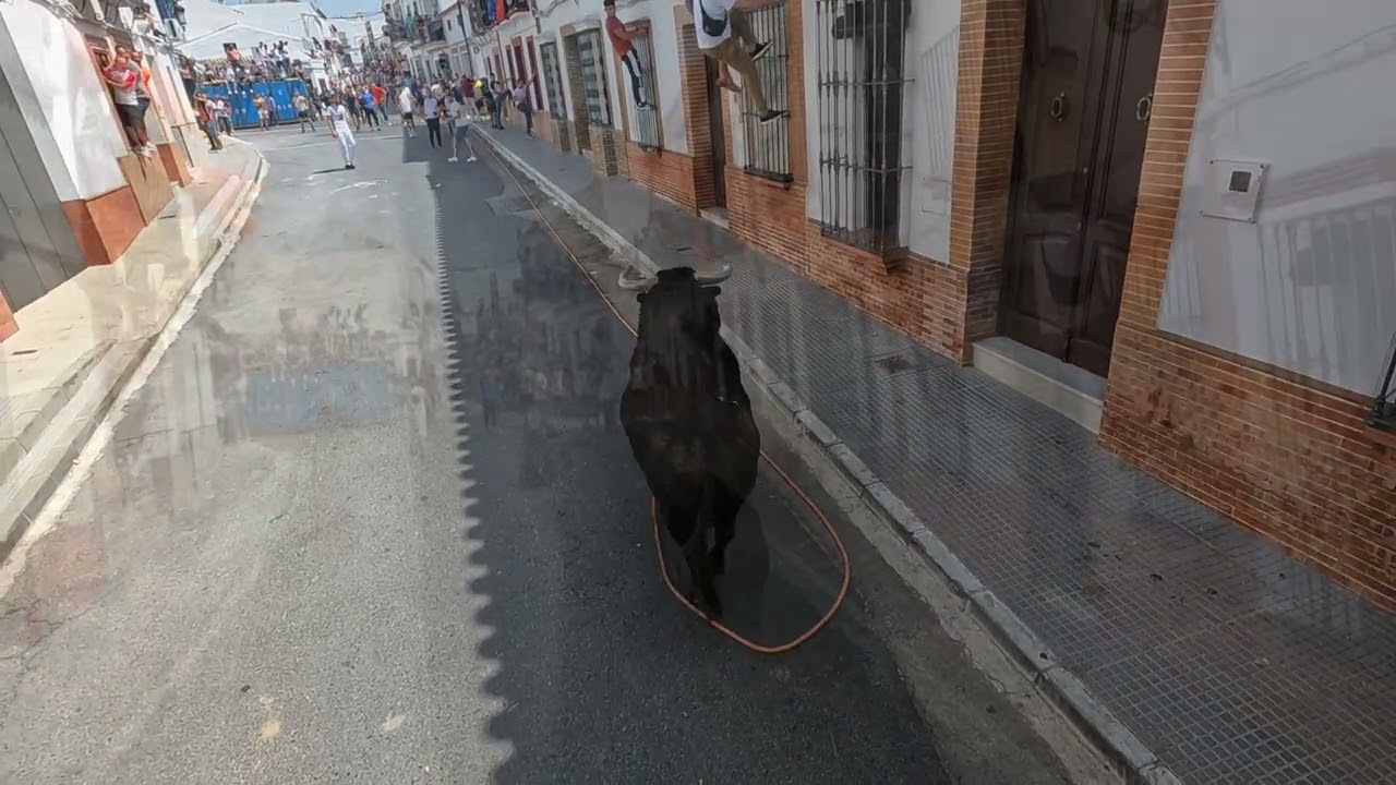 2 Toro de cuerda Martín Lorca Villalba del alcor