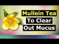 Mullein Leaf Tea For Lung Health (Clear Mucus)