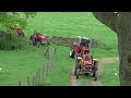 Eden Valley Vintage Tractor Club - Annual Road Run. 2019.