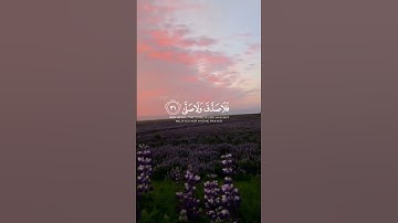 تلاوة هادئة تريح الأعصاب 😴🎧 القارئ: اسلام صبحى سورة: القيامه 💙❤