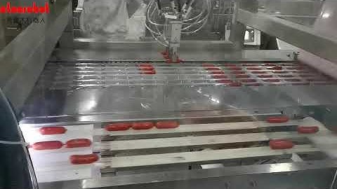 Delta robots for sausage packaging