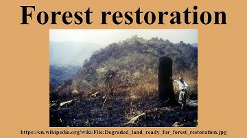 Forest restoration